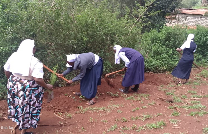Communion And Tree Roots Planting Trees, Growing Communion – SJT-Kenya